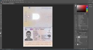 Lithuania Passport