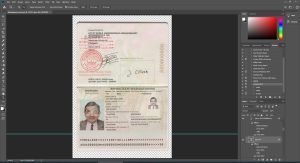 Madagascar Passport