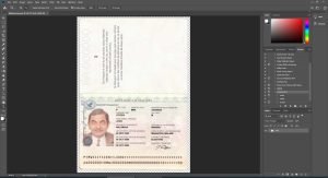 Malawi Passport