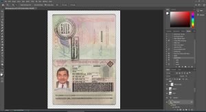 Mali Passport