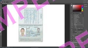 Moldova Passport - 2 version