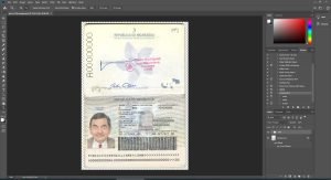 Nicaragua Passport