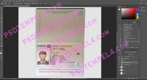 Singapore Passport