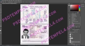 Sweden Passport