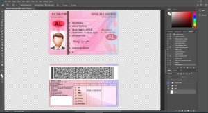 Albania Driver License