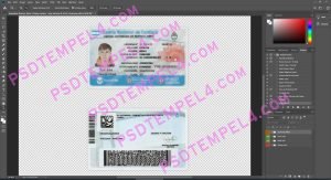 Argentina Driver License