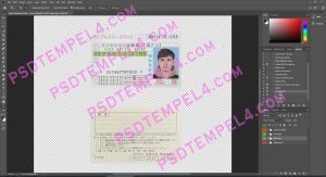 Japan Driver License