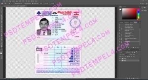 Lebanon Driver License