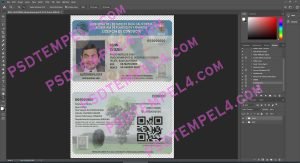 Mexico Driver License