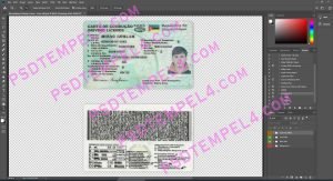 Mozambique Driver License