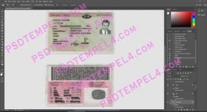 South Africa Driver License