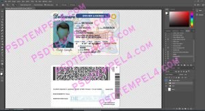 USA Delaware Driver License 2 version