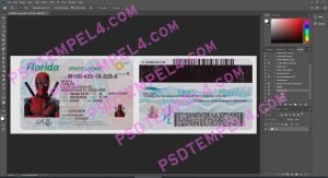 USA Florida Driver License 3 version