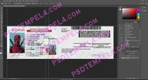 USA Illinois Driver License 2 version