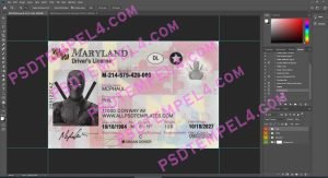USA Maryland Driver License