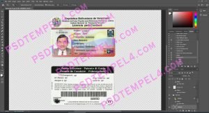 Venezuela Driver License