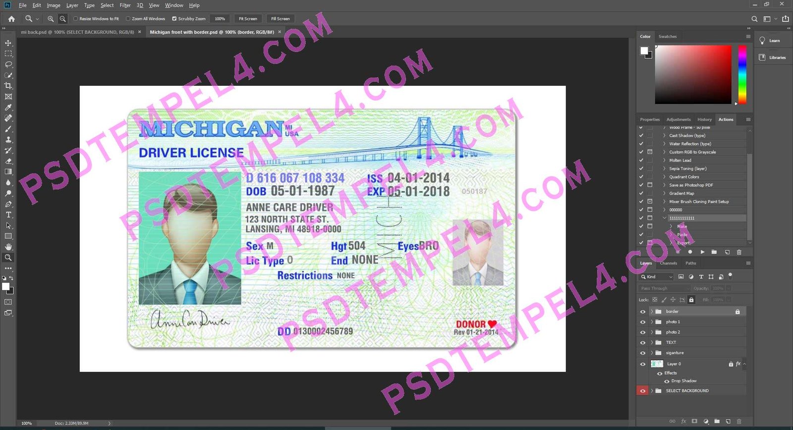 USA Michigan Driver License