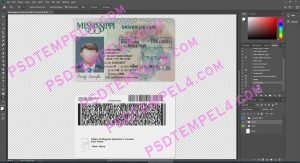 USA Mississippi Driver License