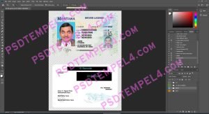 USA Montana Driver License