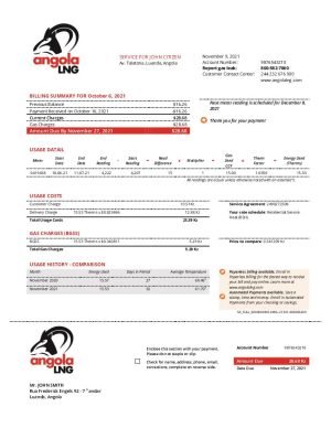 Angola LNG utility bill