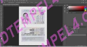Iraq id card