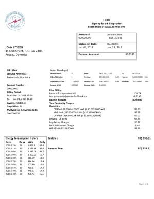 Dominica Electricity Services Limited electricity utility billD