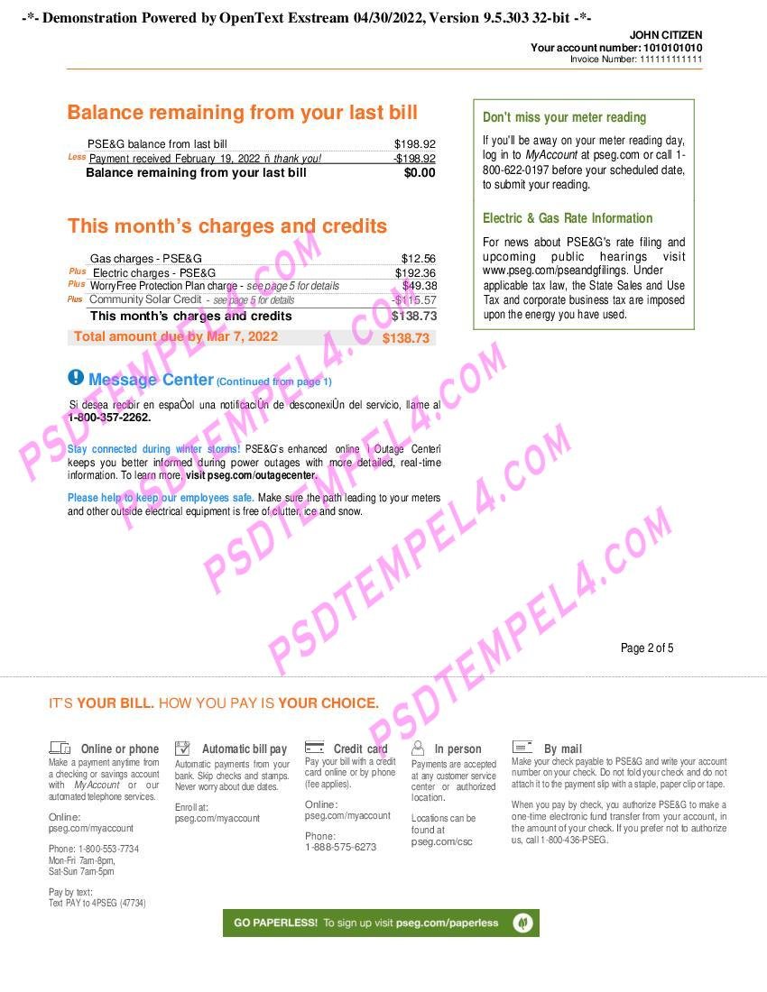 02 USA New York PSEG utility billU