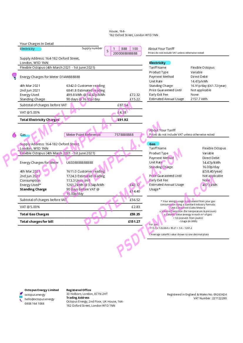 UK United Kingdom Octopus Energy utility bill 3pages - Image 2