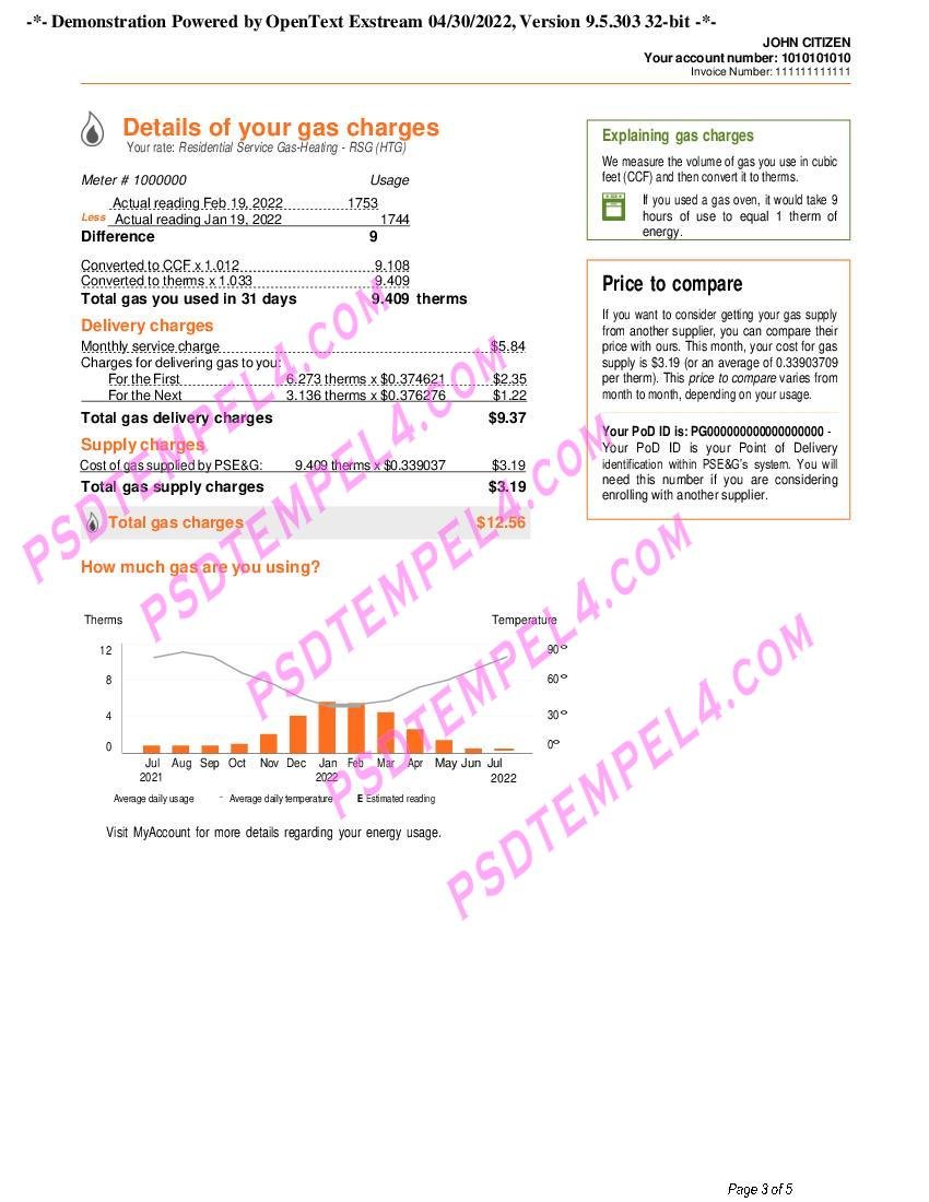 03 USA New York PSEG utility billUSA