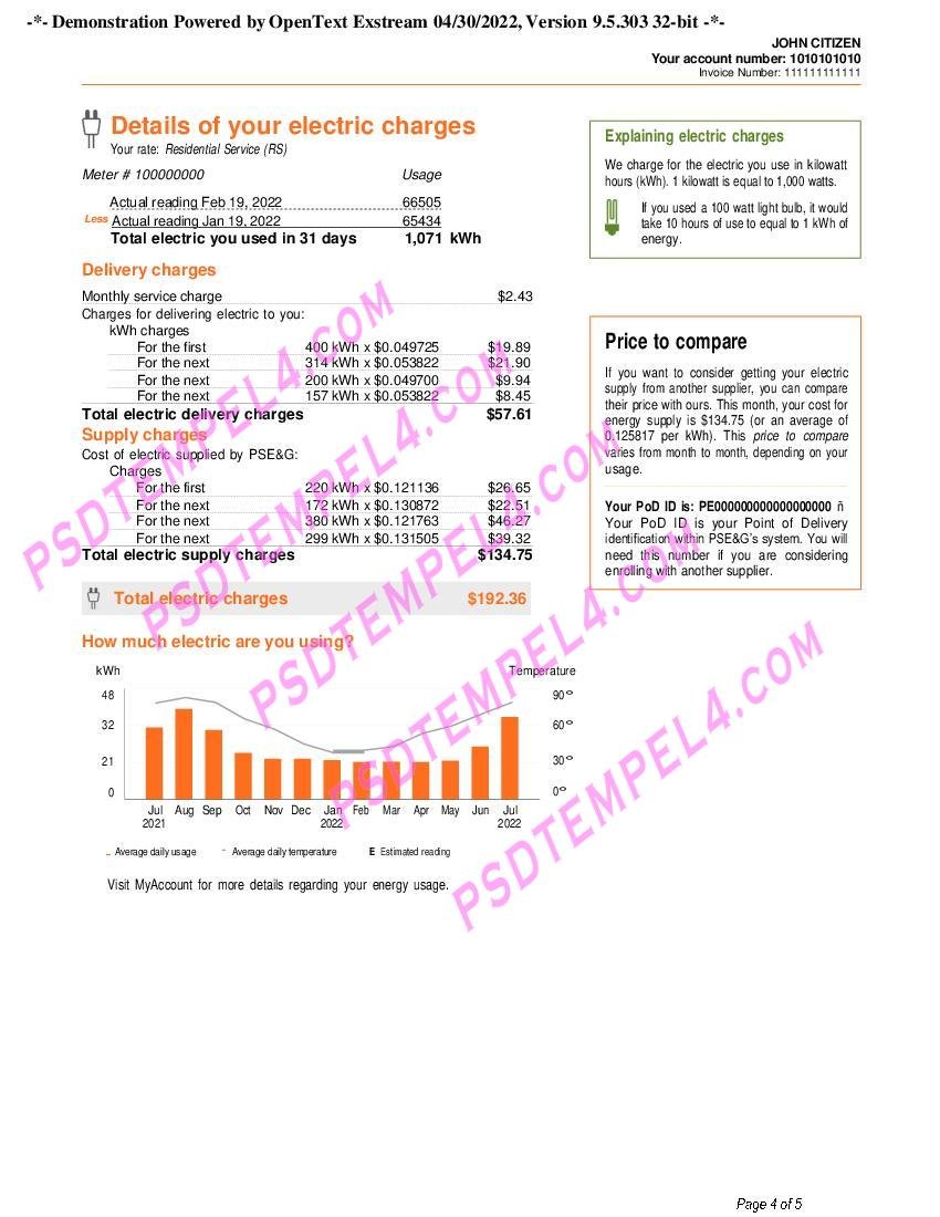 04 USA New York PSEG utility bill