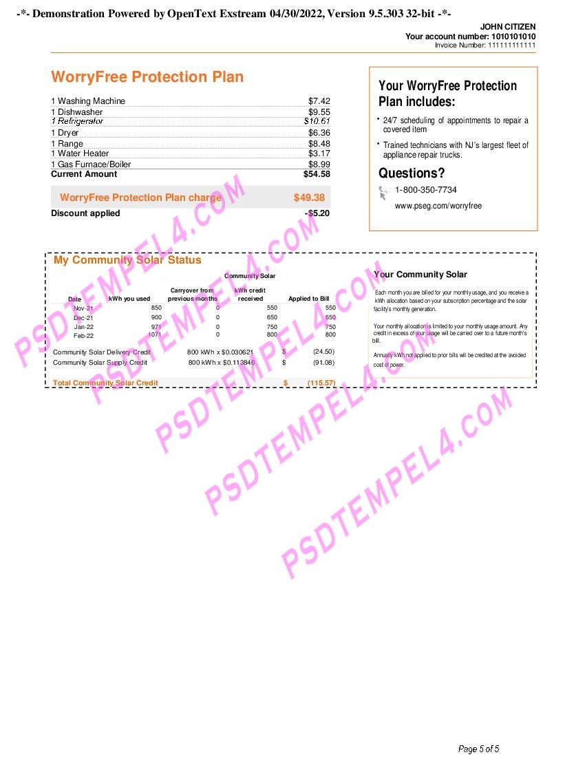 05 USA New York PSEG utility billUS 1