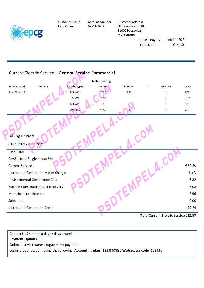 Montenegro Elektroprivreda Crne Gore EPCG electricity utility bill