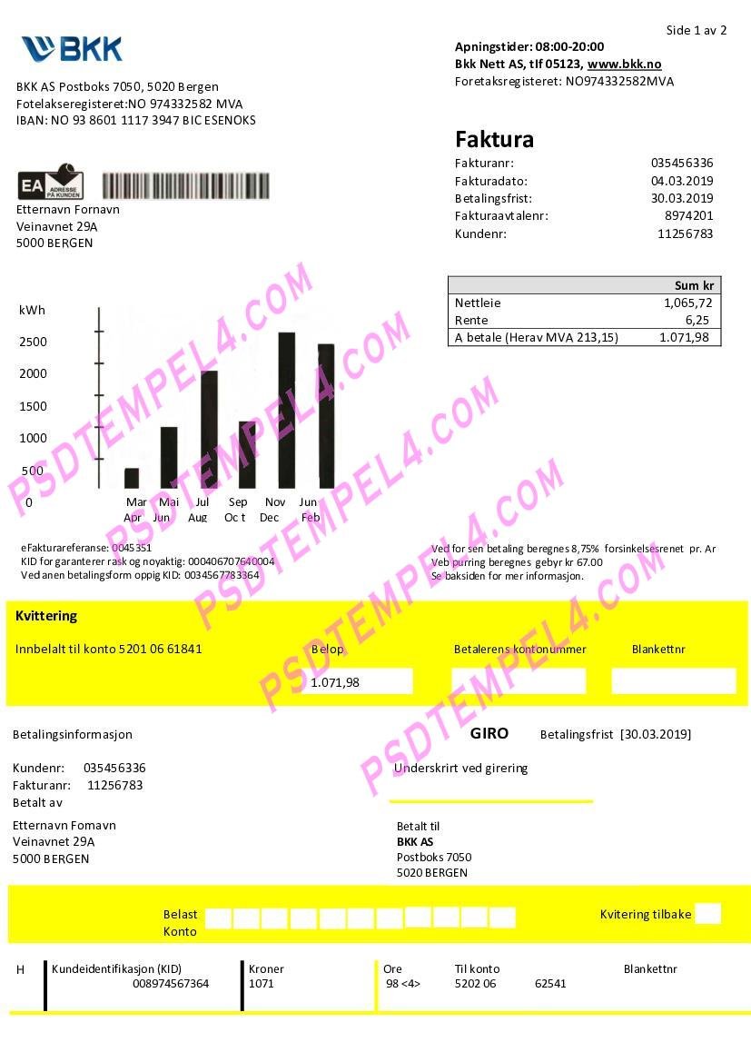 Norway BKK electricity utility bill