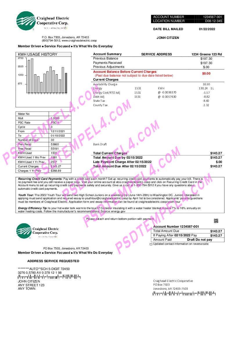 USA Craighead Electric utility bill