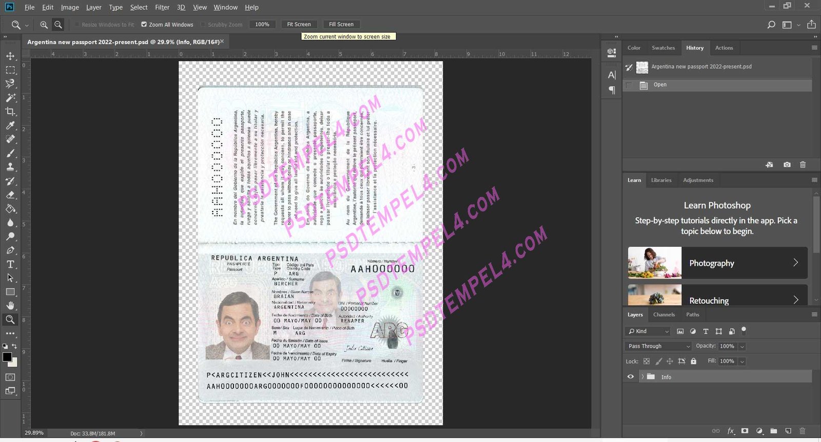 Argentina passport V4