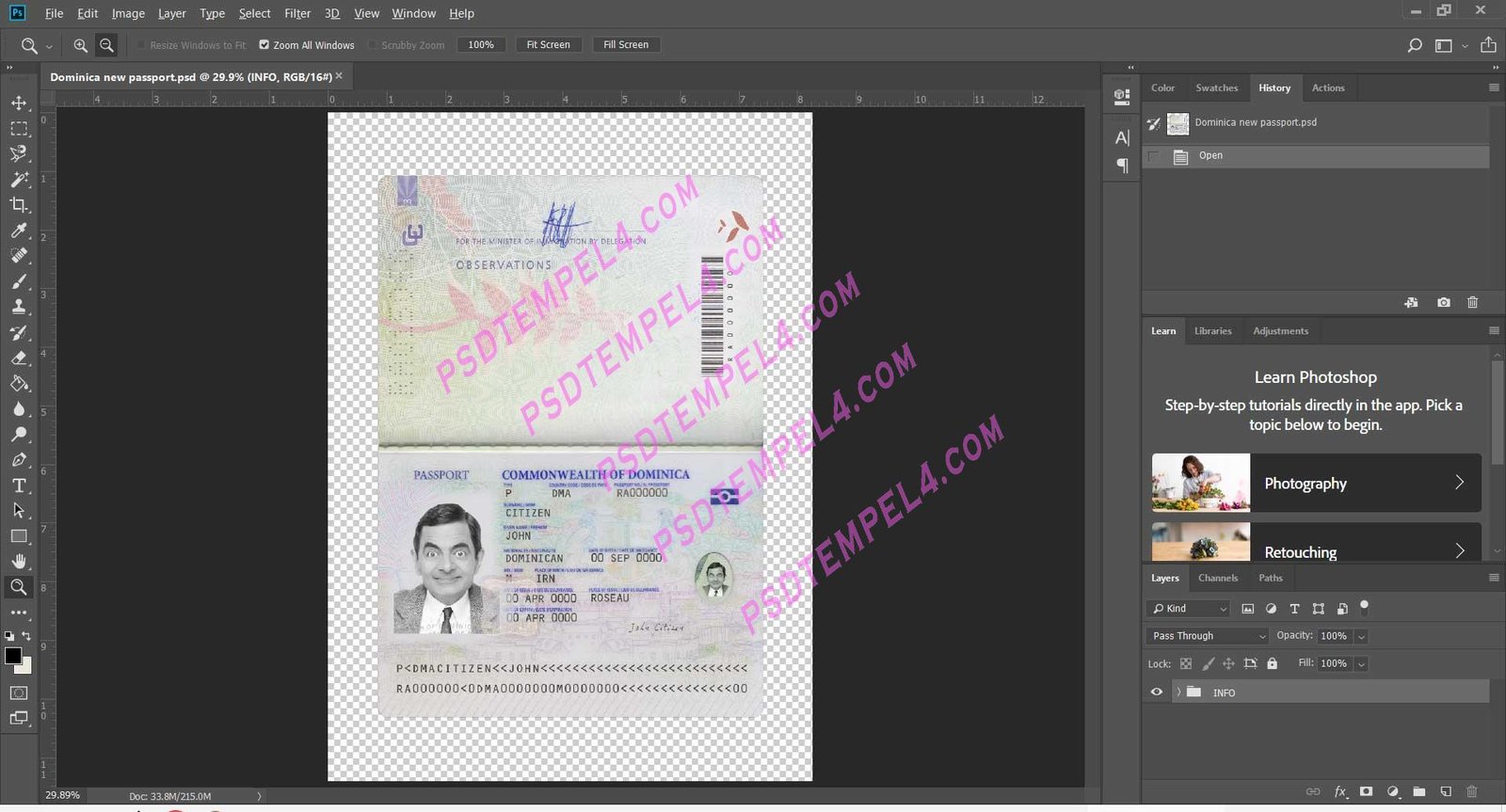 Dominican Passport V4