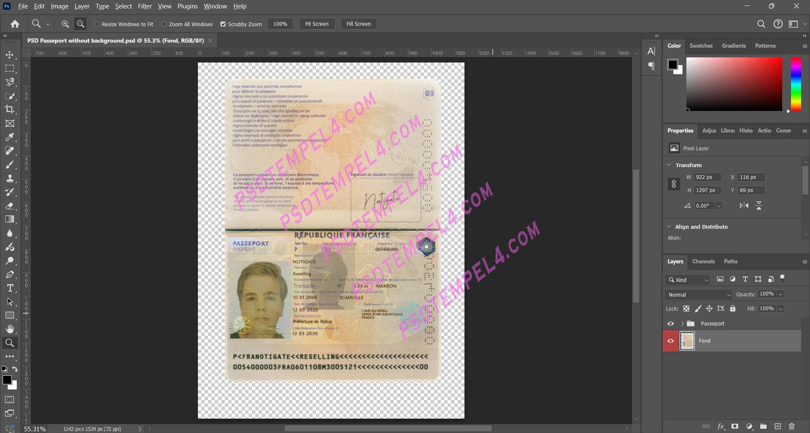 France Passport V5
