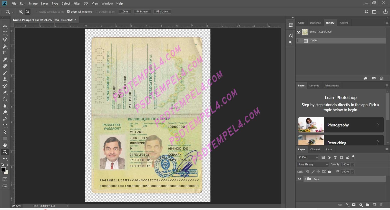 Guinea passport V3