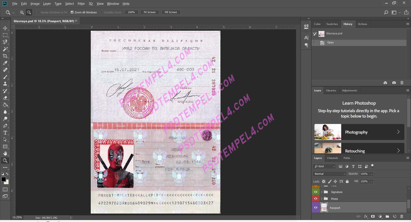 Russia Passport V4