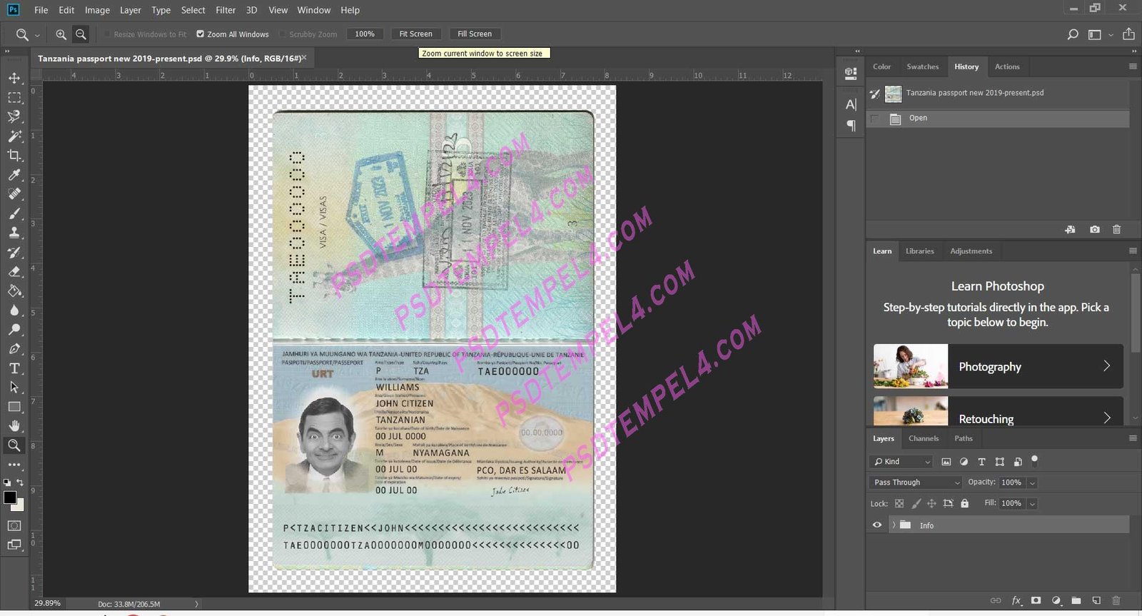 Tanzania Passport V2