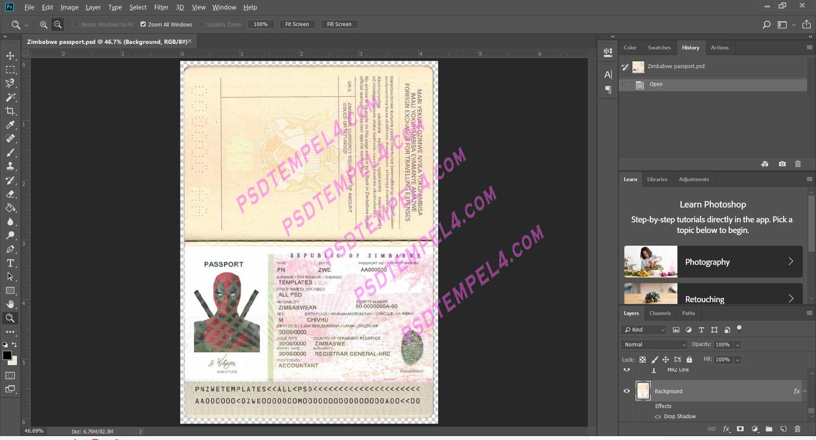 Zimbabwe Passport V2