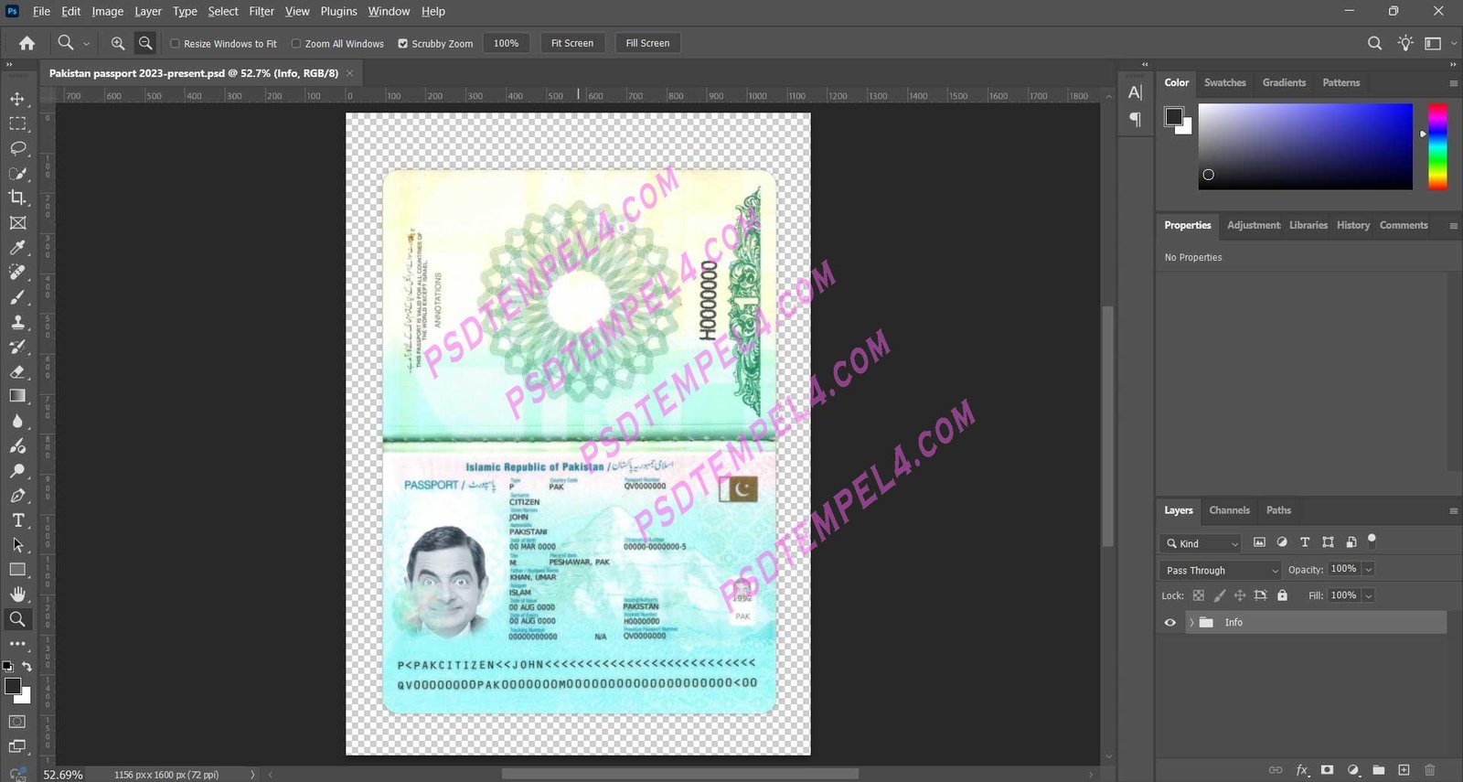 Pakistan Passport V2